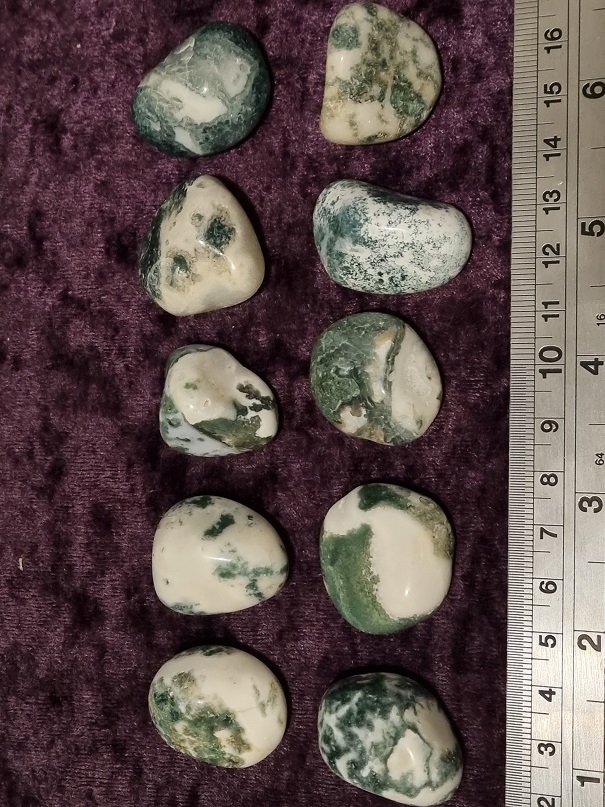 Tumbled Stone - Tree Agate [large]