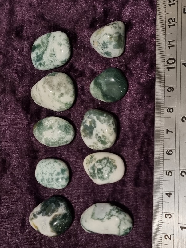 Tumbled Stone - Tree Agate