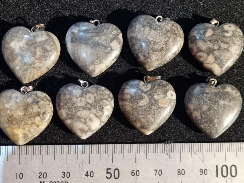 Heart Pendant - Turritella Agate [Large 25mm]