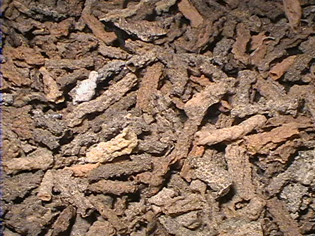 Crystal - Fulgurite - Sahara