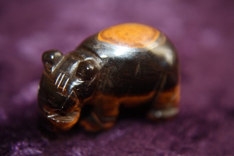 Figurine - Hippopotamus - Tiger Eye