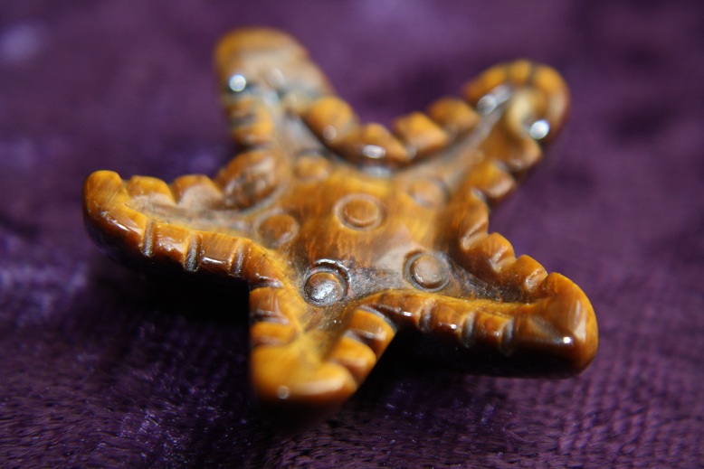 Figurine - Starfish - Tiger Eye