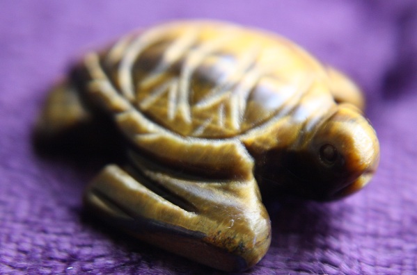 Figurine - Turtle - Tiger Eye