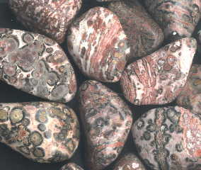 Tumbled Stone - Leopard Skin Jasper