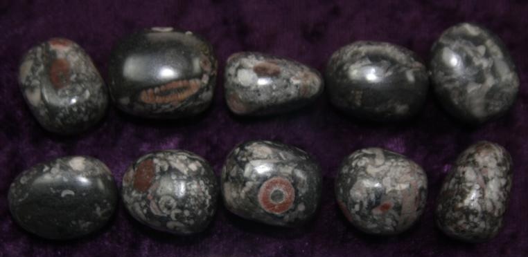 Tumbled Stone - Fossil Jasper