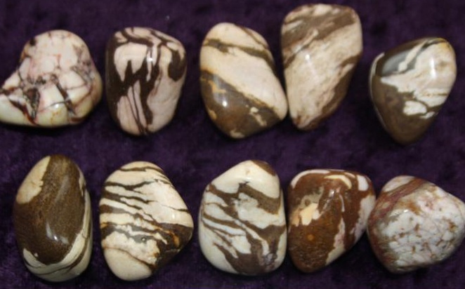 Tumbled Stone - Brown Zebra Jasper